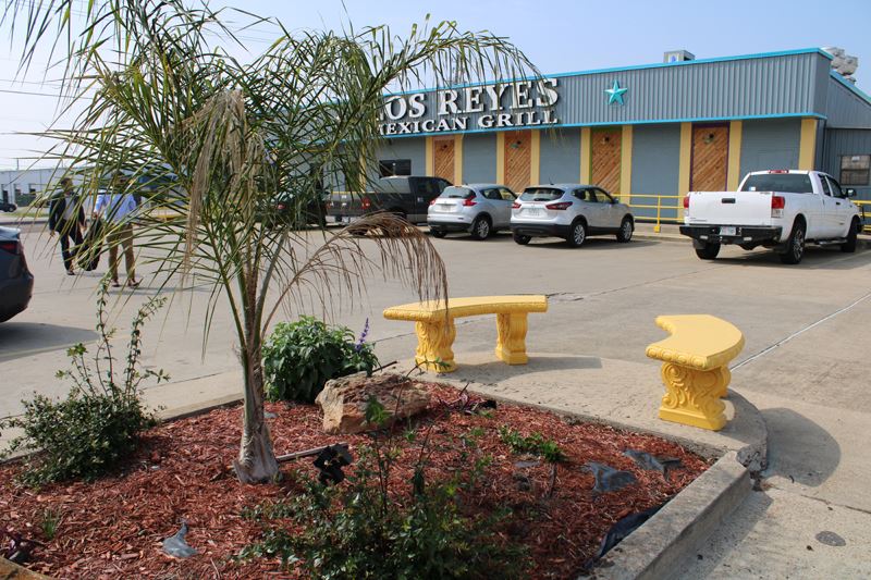 Flowerbed with red mulch, palm tree and decorative benches in Los Reyes Mexican Grill parking lot